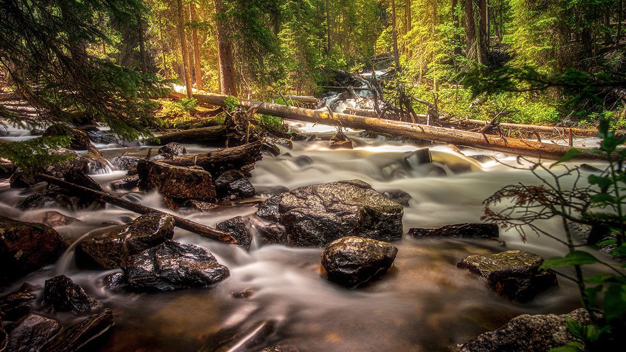 Aprende a Crear el Efecto Orton en Photoshop Paso a Paso