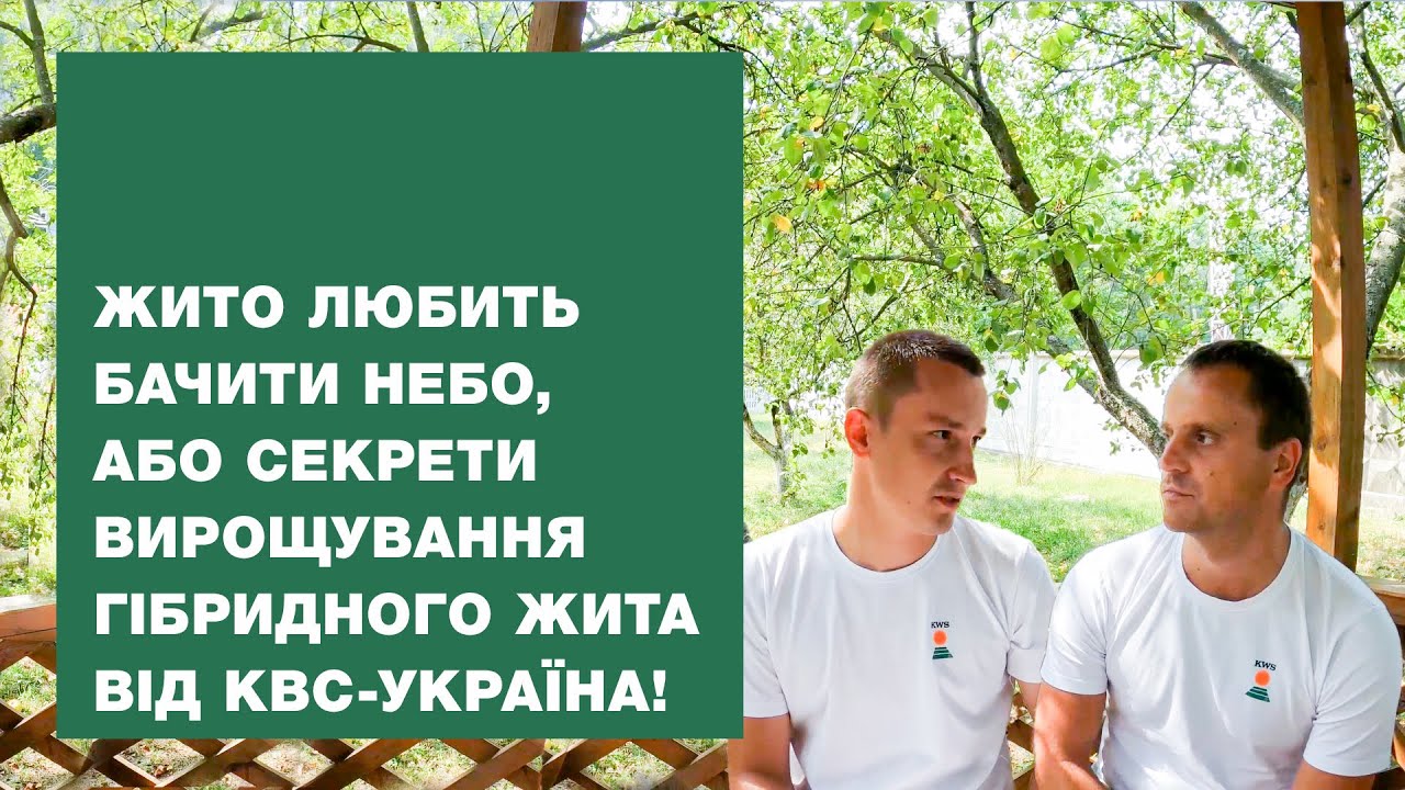 Жито любить бачити небо, або секрети вирощування гібридного жита від КВС-УКРАЇНА! | VLOG #13