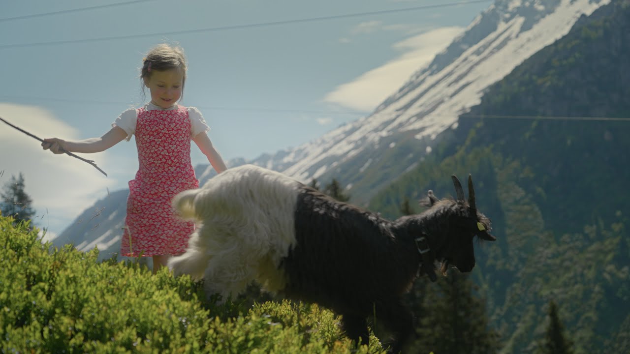 GEISSENPARADIES GÖSCHENERALPTAL – Neubau (erste Version)