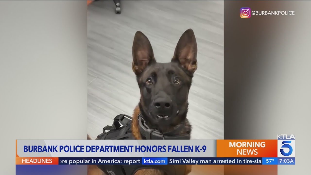 Community mourns Burbank K9 officer killed in the line of duty
