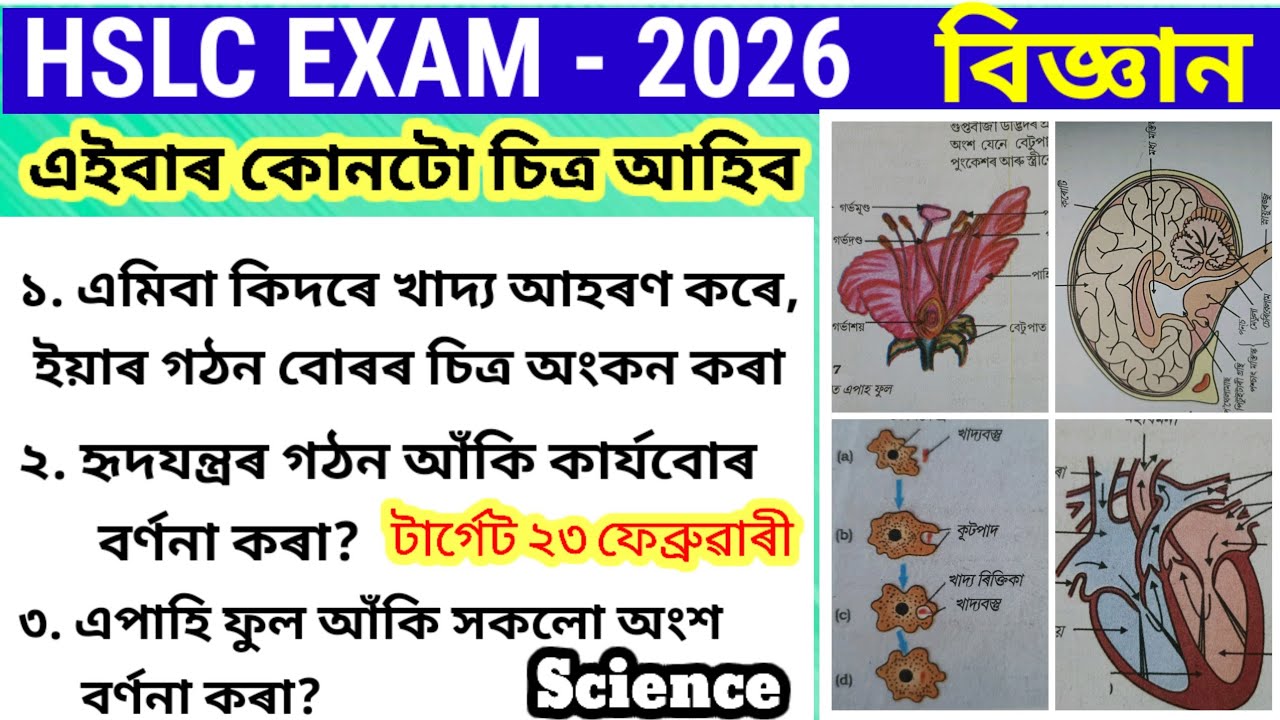 বিজ্ঞান Science drawing important questions of HSLC  2026 most important topic of science চিত্ৰ অংকন