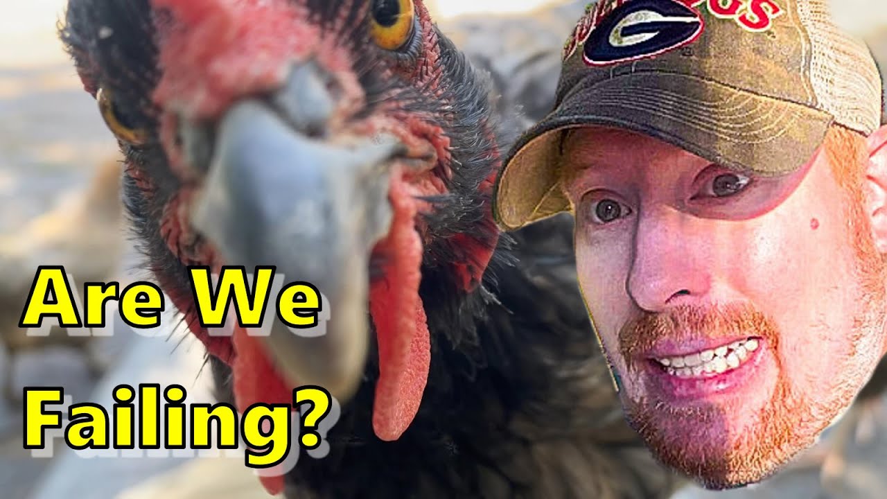Chaos in the Garden: Chickens Gone Wild!