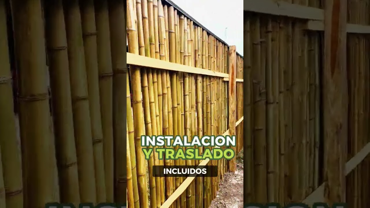 Secretos del dise&ntilde;o: Crea una entrada impresionante con bamb&uacute; 🎋🏡👨🏼&zwj;🏭 #bamboo #bambu #deco #estilo