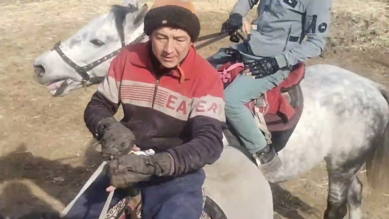 URGUT BESHKAPA KO'PKARISI 07.02.2026