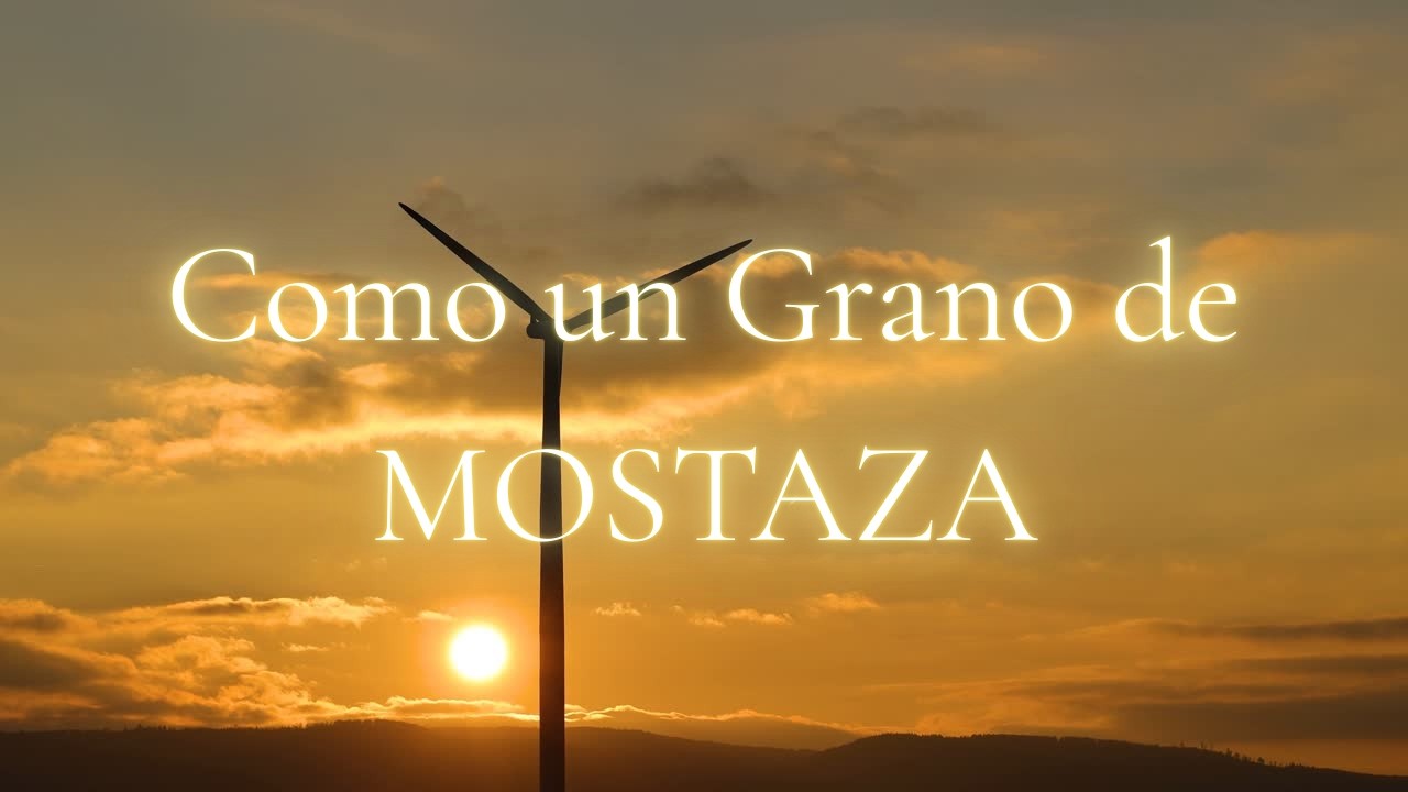 CONFIA EN DIOS | Oración de FE para Manifestar