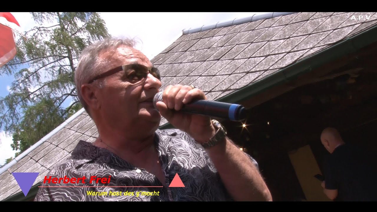 Herbert Frei  - Warum host des g'mocht