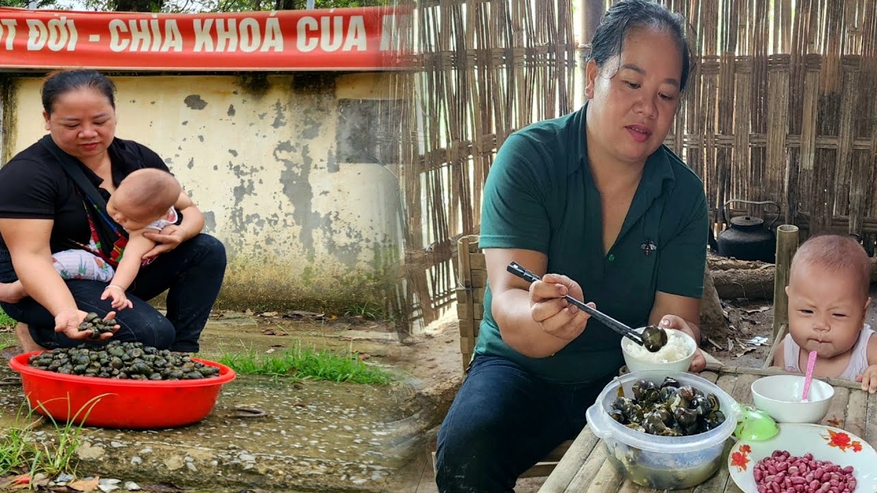 Pick up snails to sell. Daily life of a single mother