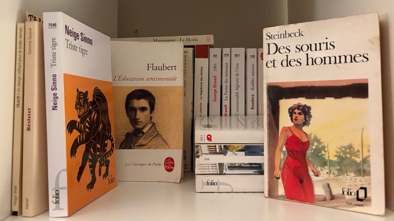 mes objectifs de lecture 2026