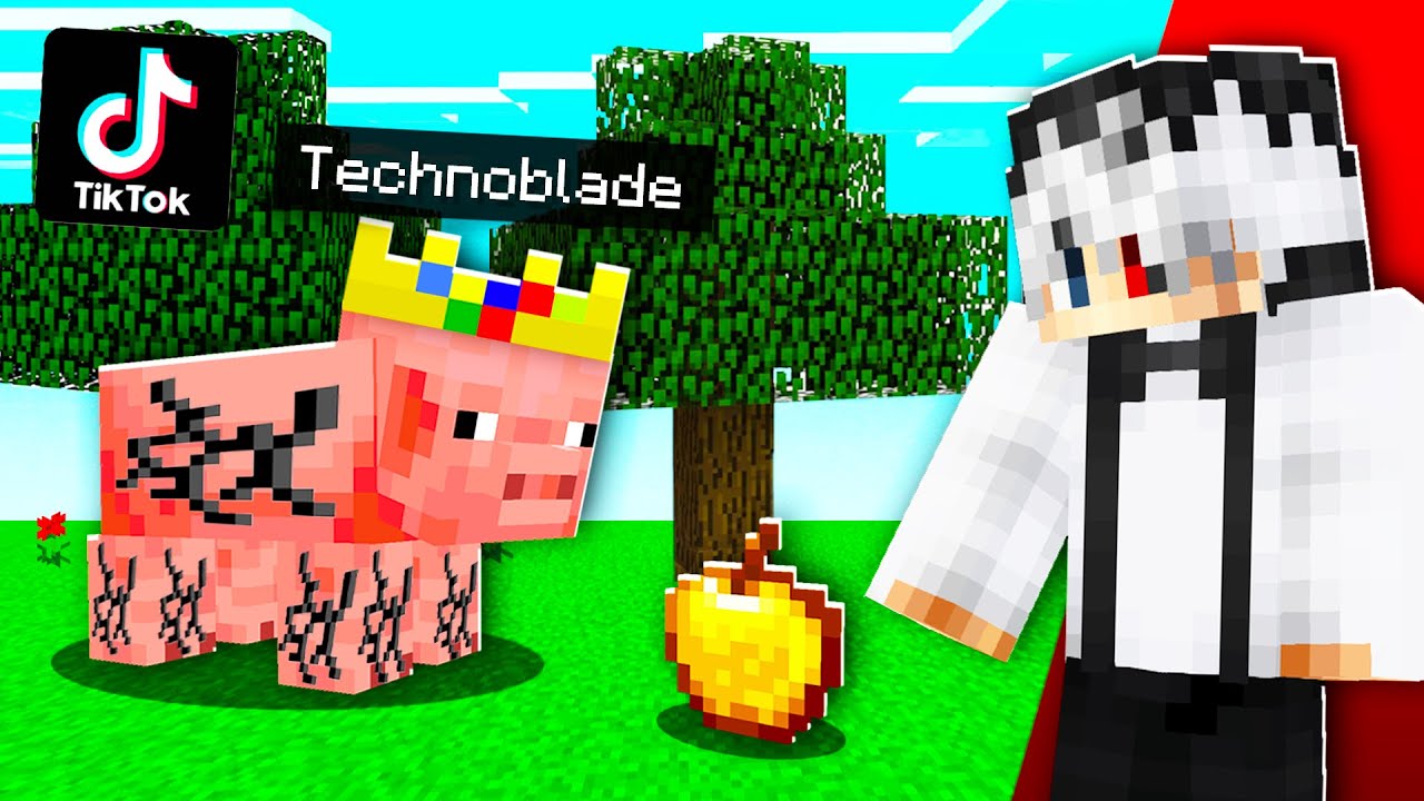 Testez MOMENTELE WTF din MINECRAFT de pe TIKTOK! *Ce?*