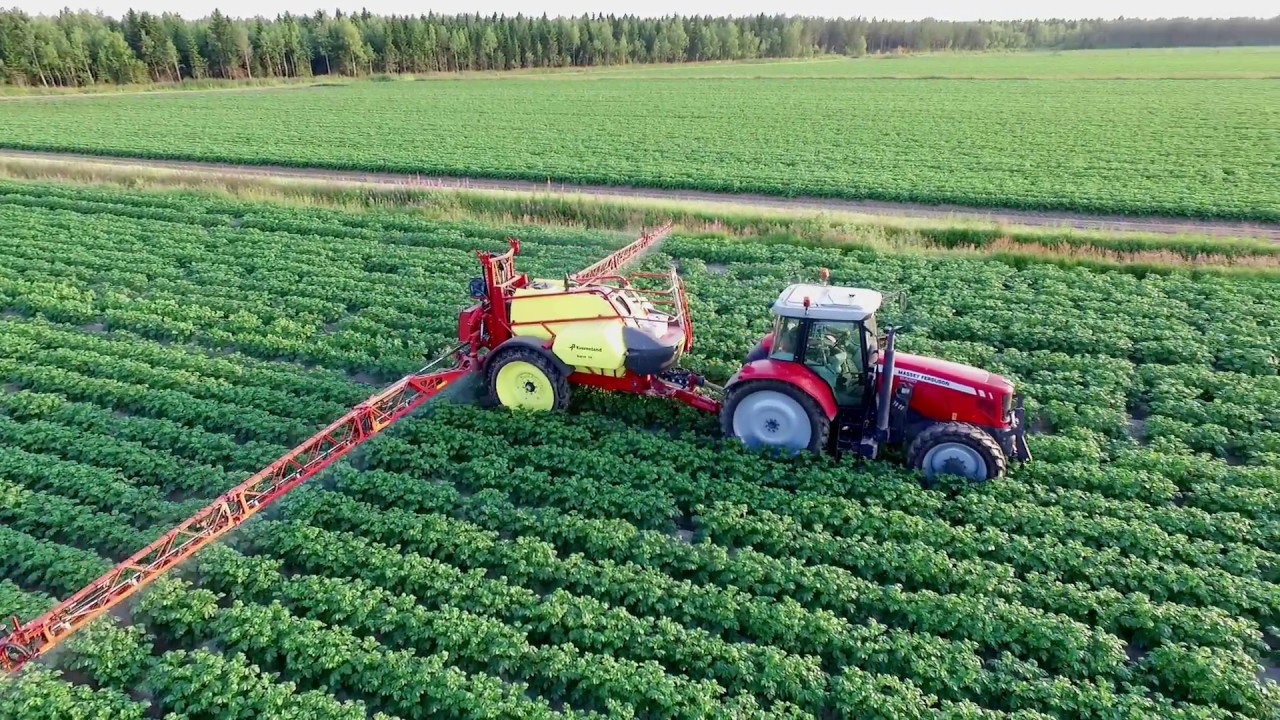 Spraying potatoes - MF 6480 & Kverneland Ikarus S38