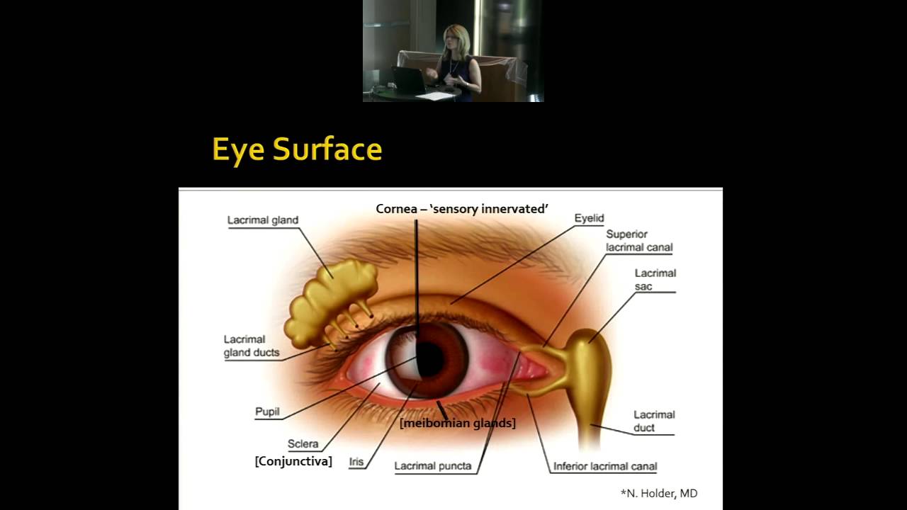 Relationships of Blepharospasm to Ophthalmologic Conditions such as Dry Eye