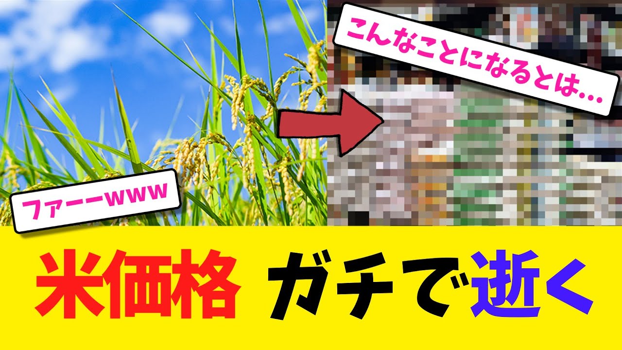 米価格 ガチで逝く【2chまとめ】【2chスレ】【5chスレ】