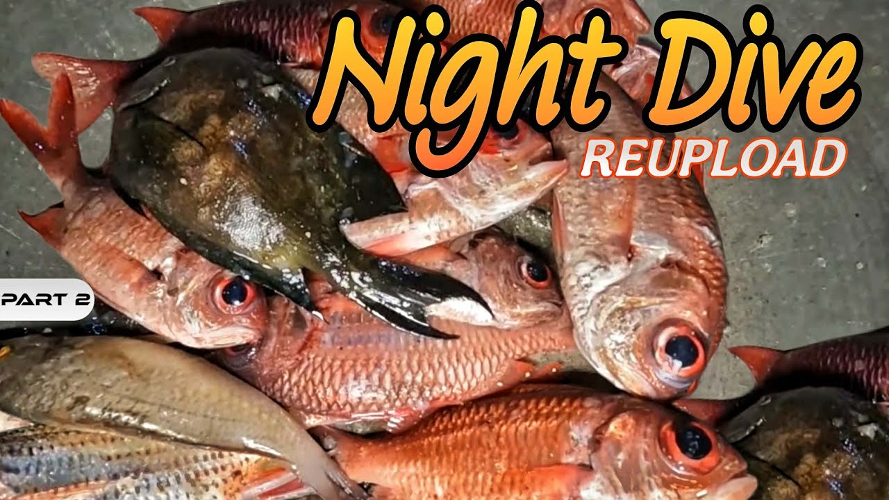 P2 - NIGHT DIVE (Originally Uploaded at Mrs. Harabas Channel) - EP2113
