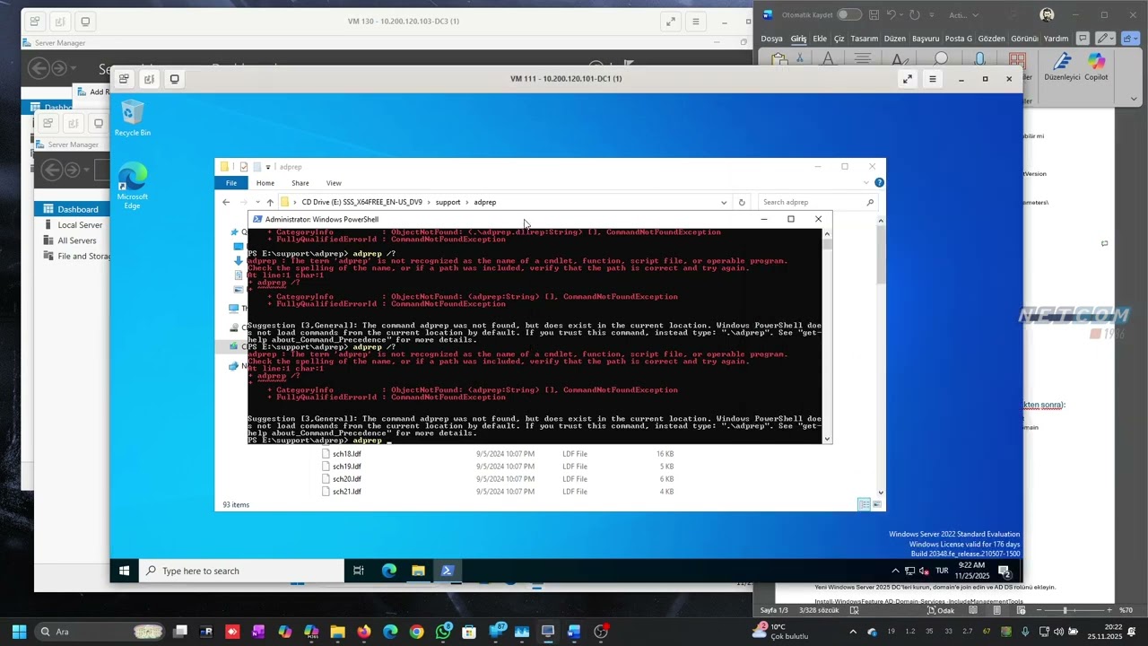 11 Windows 2022 den 2025 güncelleme