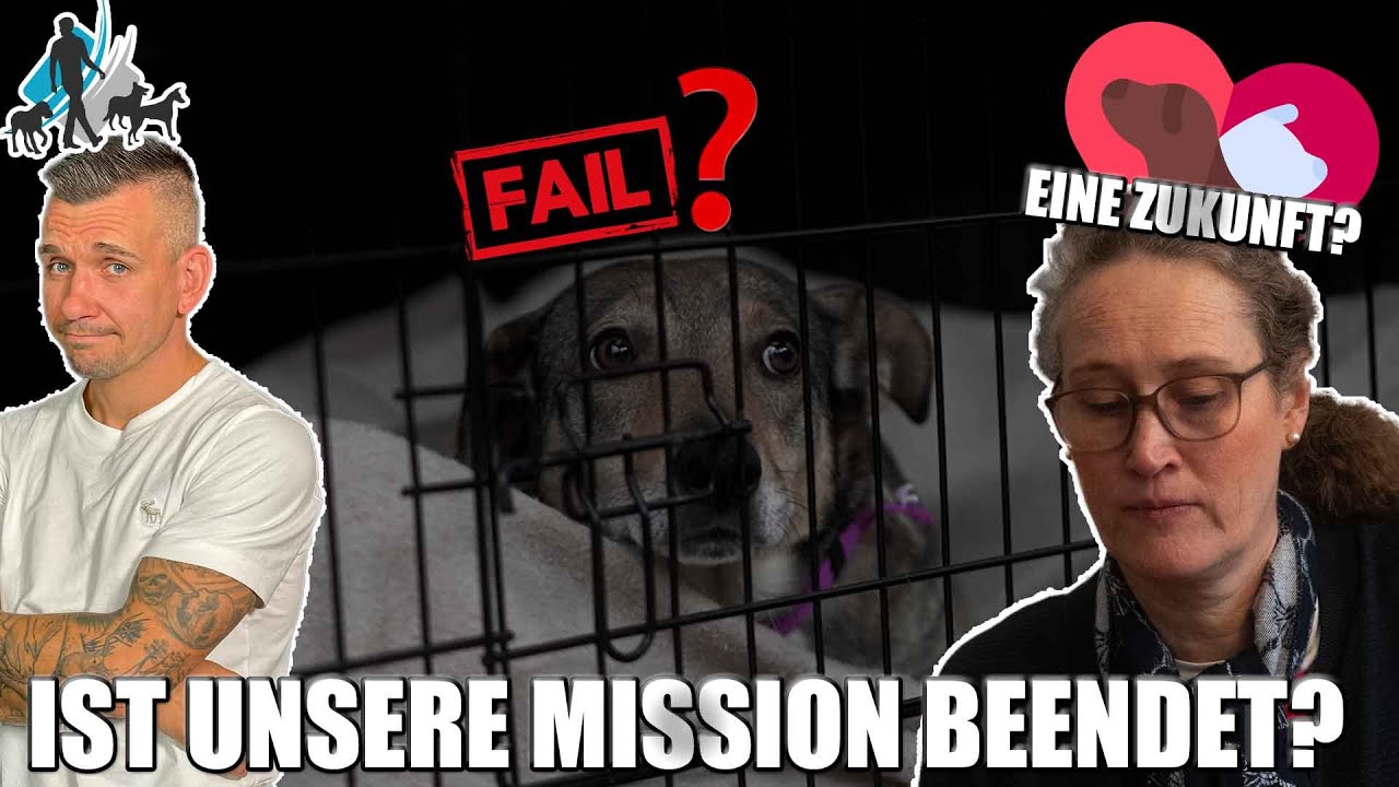 FAILURE OF ANIMAL WELFARE, TRAINING UP CLOSE, WILL IT BE WORTH IT? | Nelly Finale Part 4