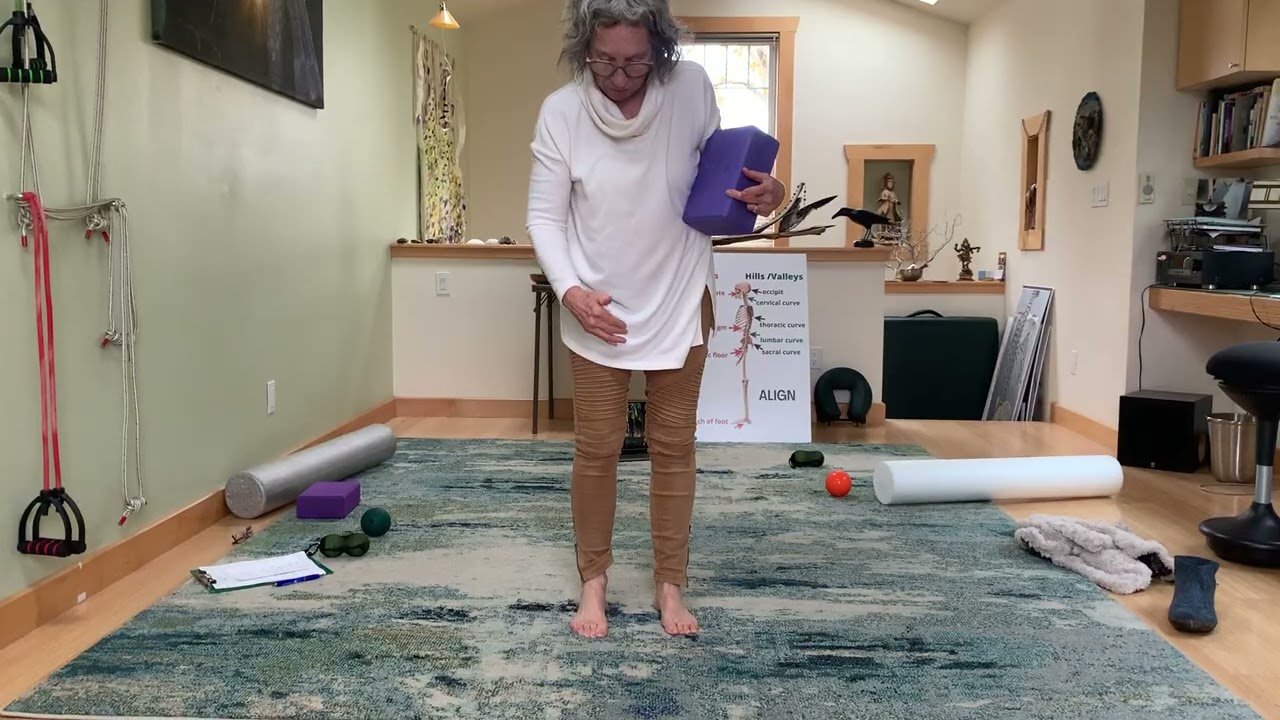 Anita
