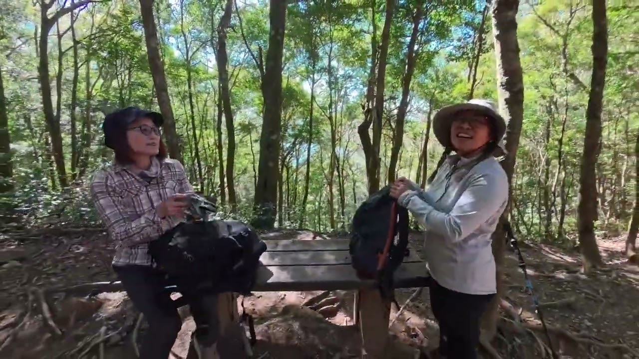 北得拉曼巨木步道