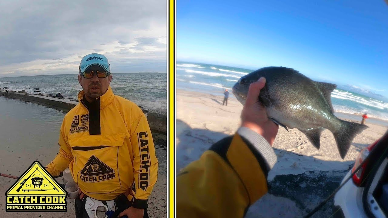 Galjoen [CATCH COOK] False Bay, Western Cape, South Africa