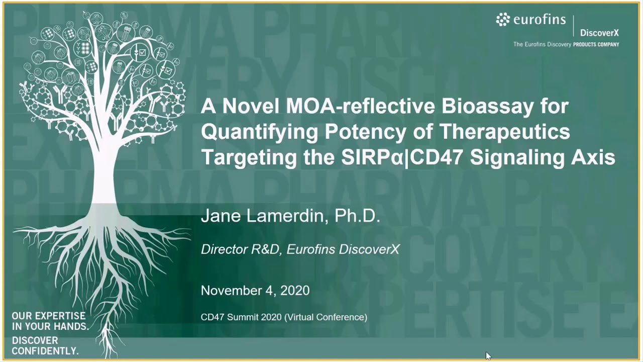 Quantify Potency of Therapeutics Targeting the SIRPα|CD47 Signaling Axis