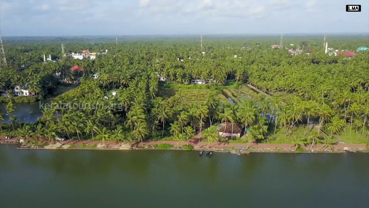Padanna Backwaters KERALA | Kerala Tourism | #Save_Nature