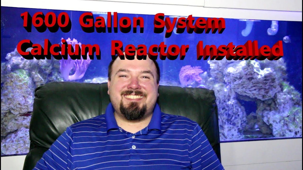 1600 Gallon System Calcium Reactor Installed