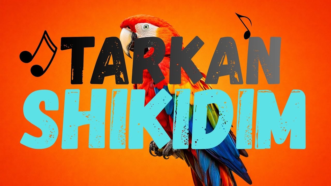 SHIKIDIM - (Tarkan), Cover&Remake by eastmixes, Hipnotical Energetic Feel
