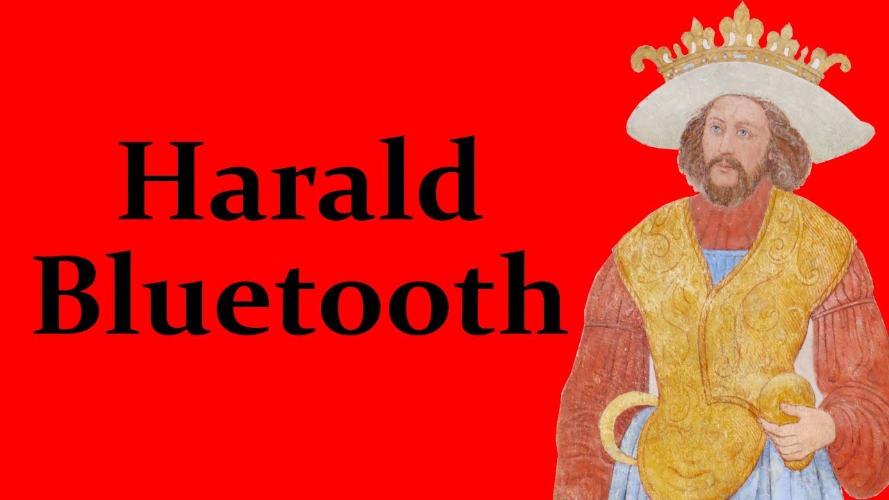 Harald Bluetooth | The Viking King who Christianized Denmark & Annexed Norway (r.956-986) | 🇩🇰