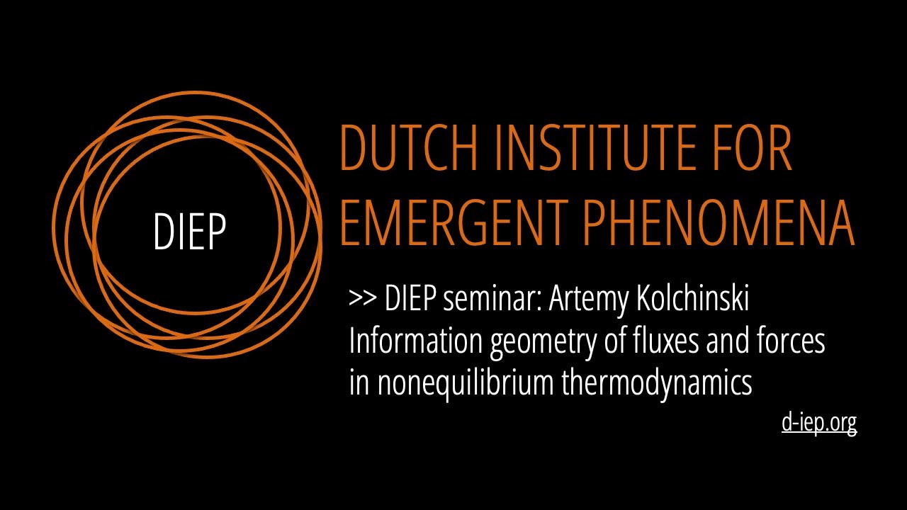 Information geometry of fluxes and forces in nonequilibrium thermodynamics by Artemy Kolchinsky