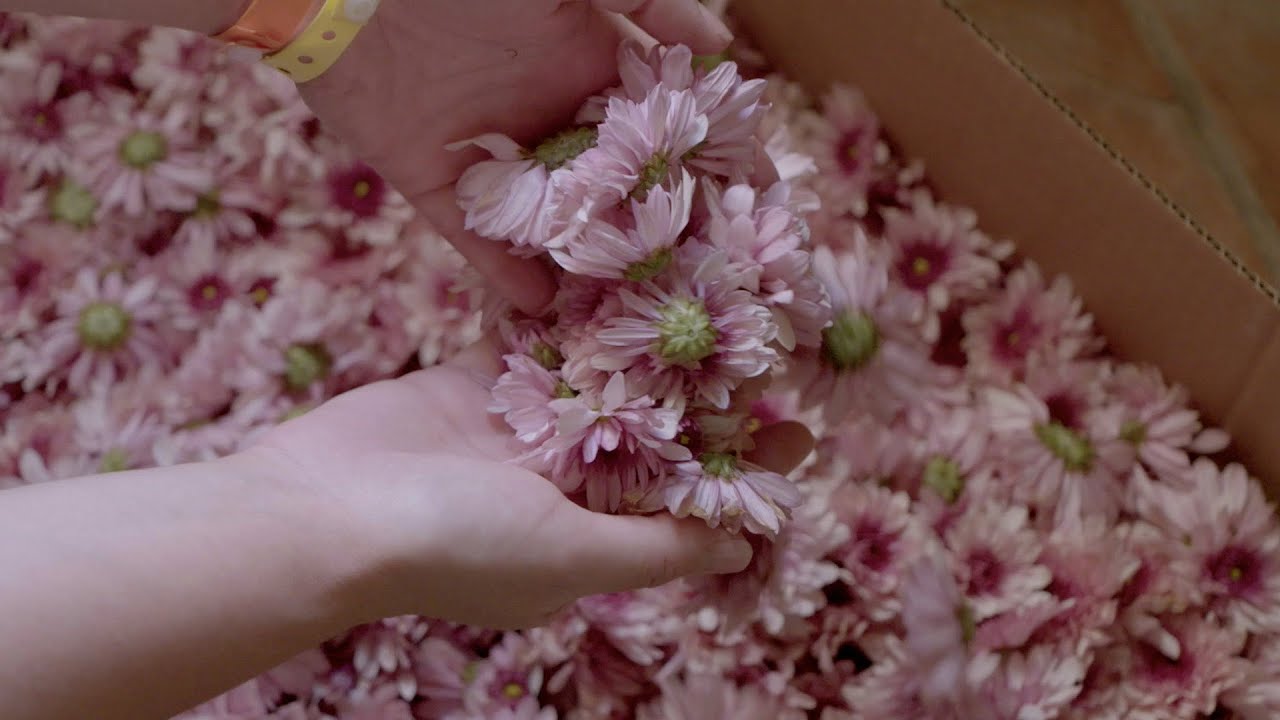 Dolce&Gabbana Alta Gioielleria - the location