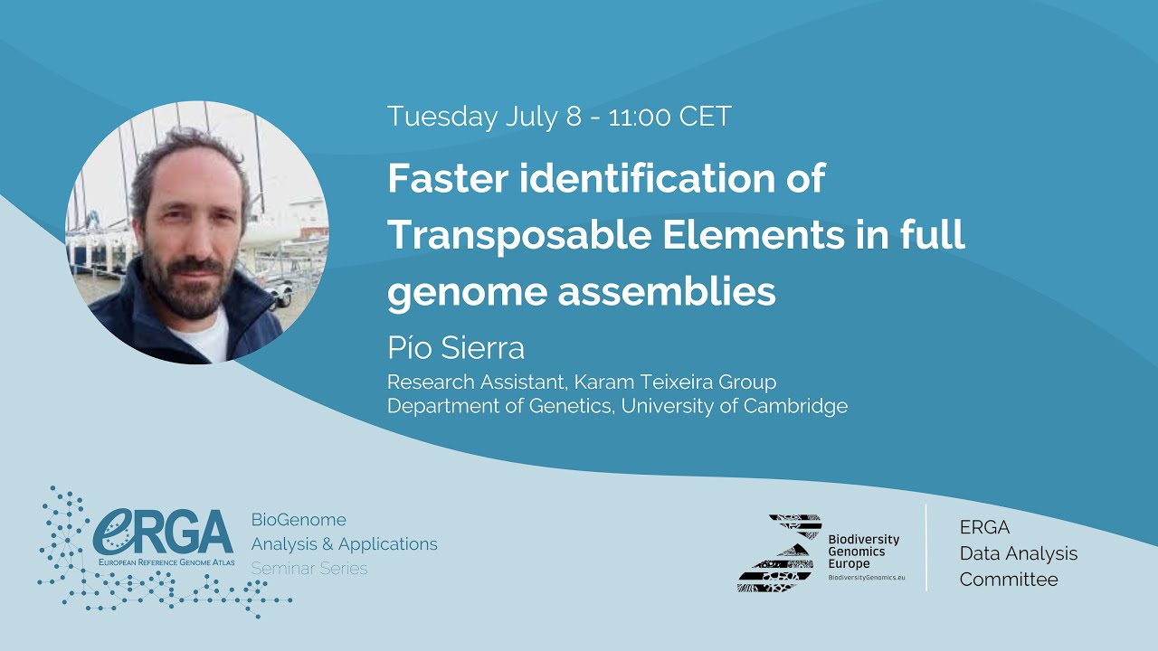 Faster identification of Transposable Elements in full genome assemblies - Pío Sierra