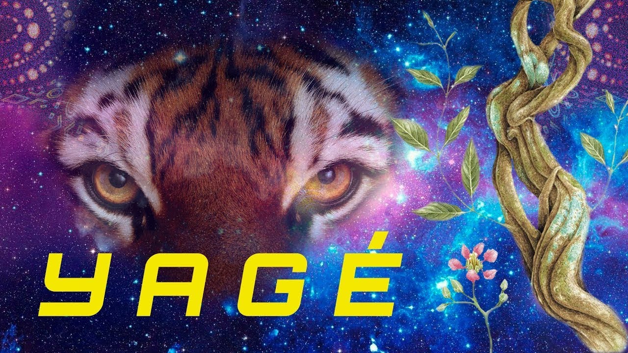 YAGÉ - DOCUMENTAL #ayahuasca #dmt #shaman