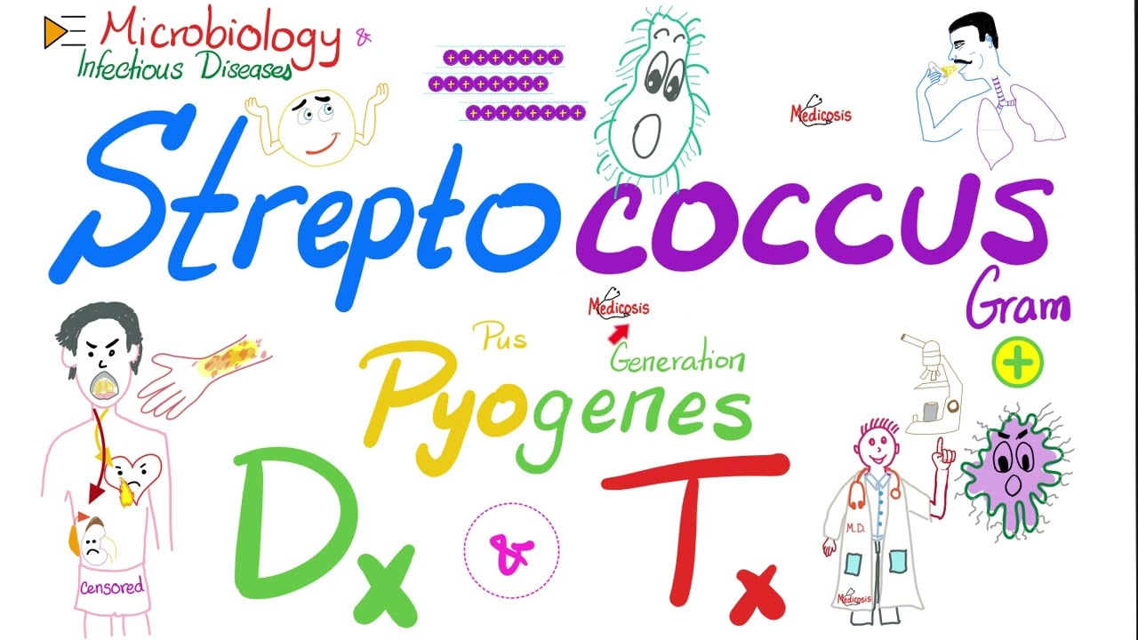 Диагностика и лечение Streptococcus Pyogenes | Микробиология 🧫 и инфекционные заболевания 🦠