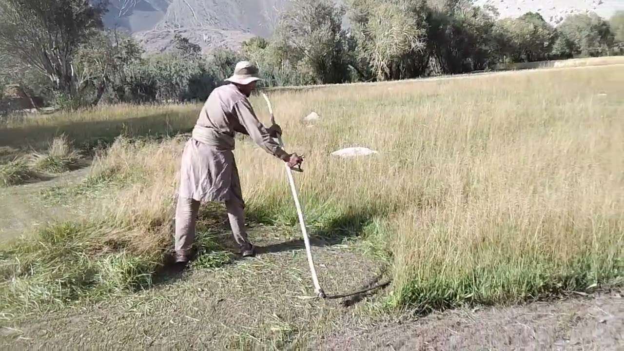 Easy way for cuting grasses full vedio #mountains #travel #nature #trending #love #newmusic#viral