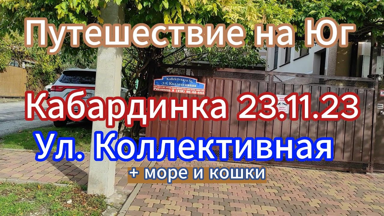 Путешествие на Юг. Кабардинка 23.11.23. Ул. Коллективная +море и кошки