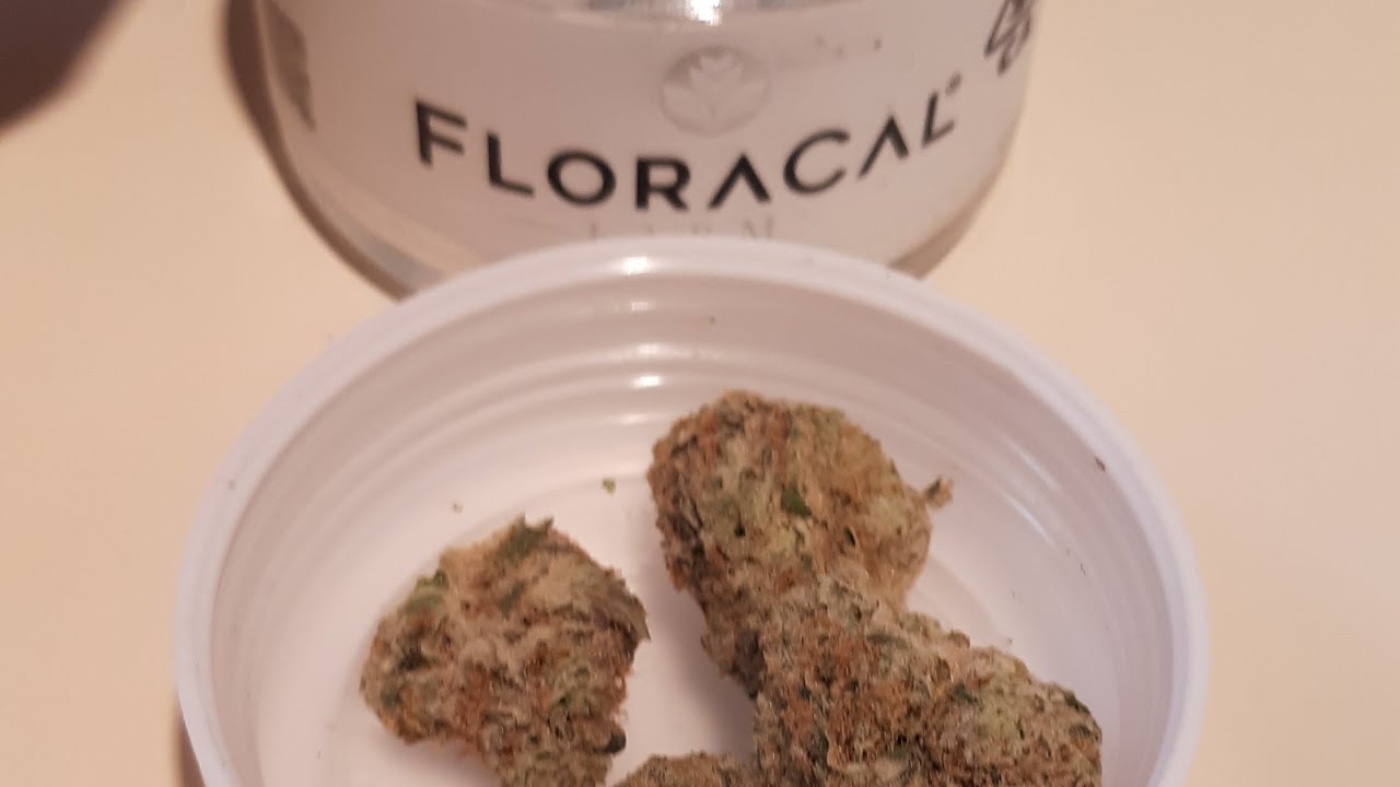 floracal farms jealousy cap junky strain review