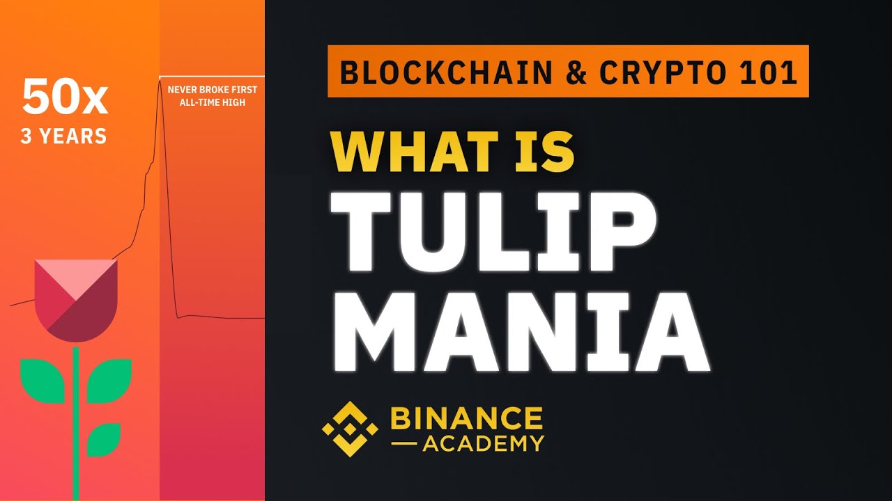 What is Tulip Mania｜Explained For Beginners