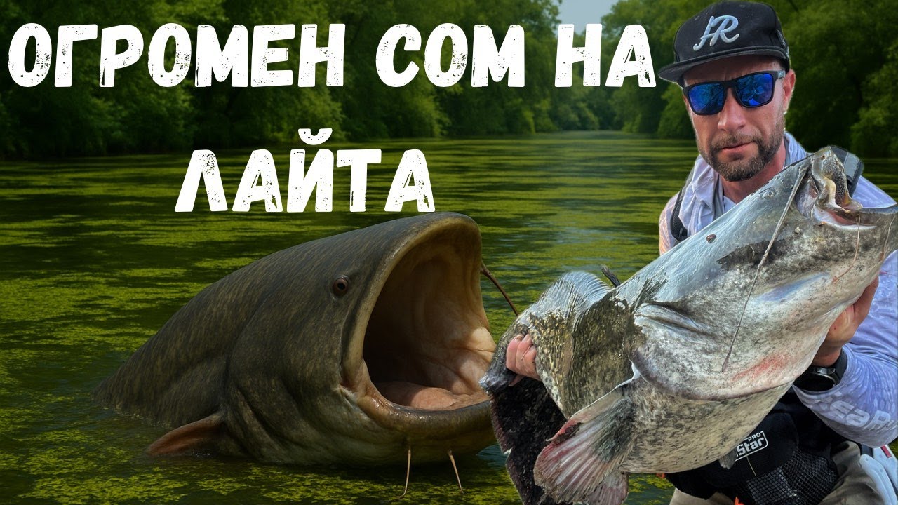 Огромен сом на ЛАЙТА ! Мисията възможна ?