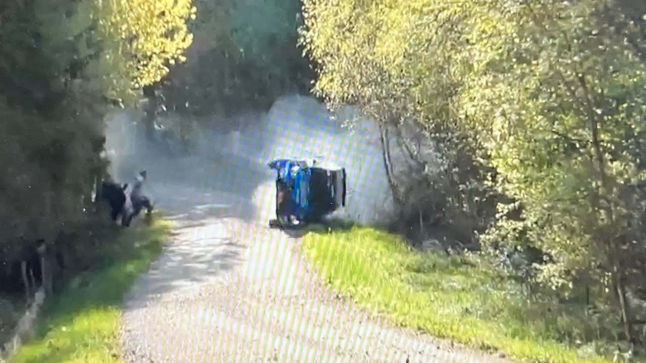 South Swedish Rally 2023 Crash & Action
