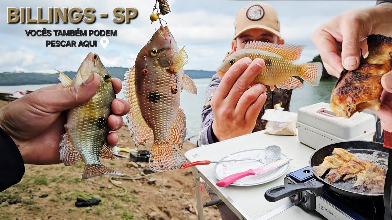 Pescaria e Peixe Frito na Beira da Represa