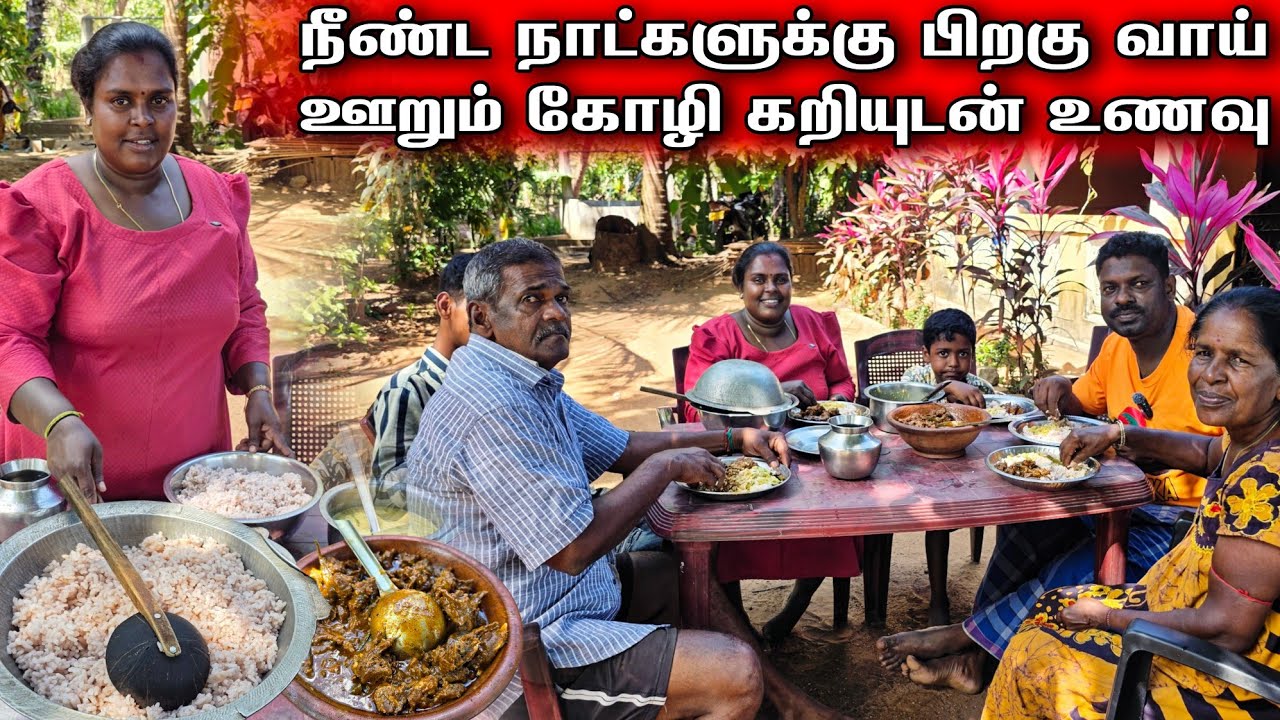 அப்பா அம்மாவுடன் கிராமத்து ஊர்க்கோழி சமையல் | Our Village lifestyle cooking | vanni vlog 