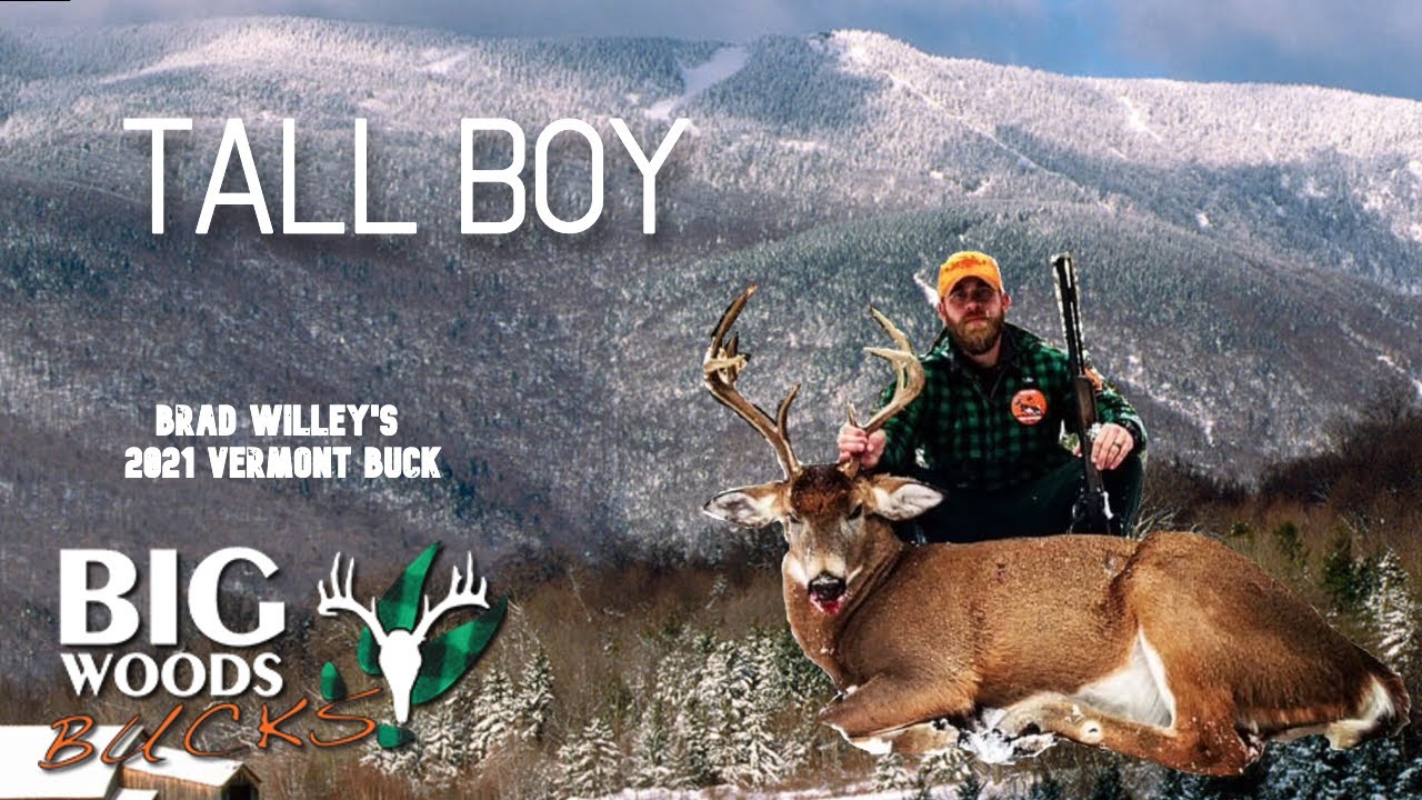 TALL BOY | Brad Willey's 2021 VERMONT BIG WOODS BUCK