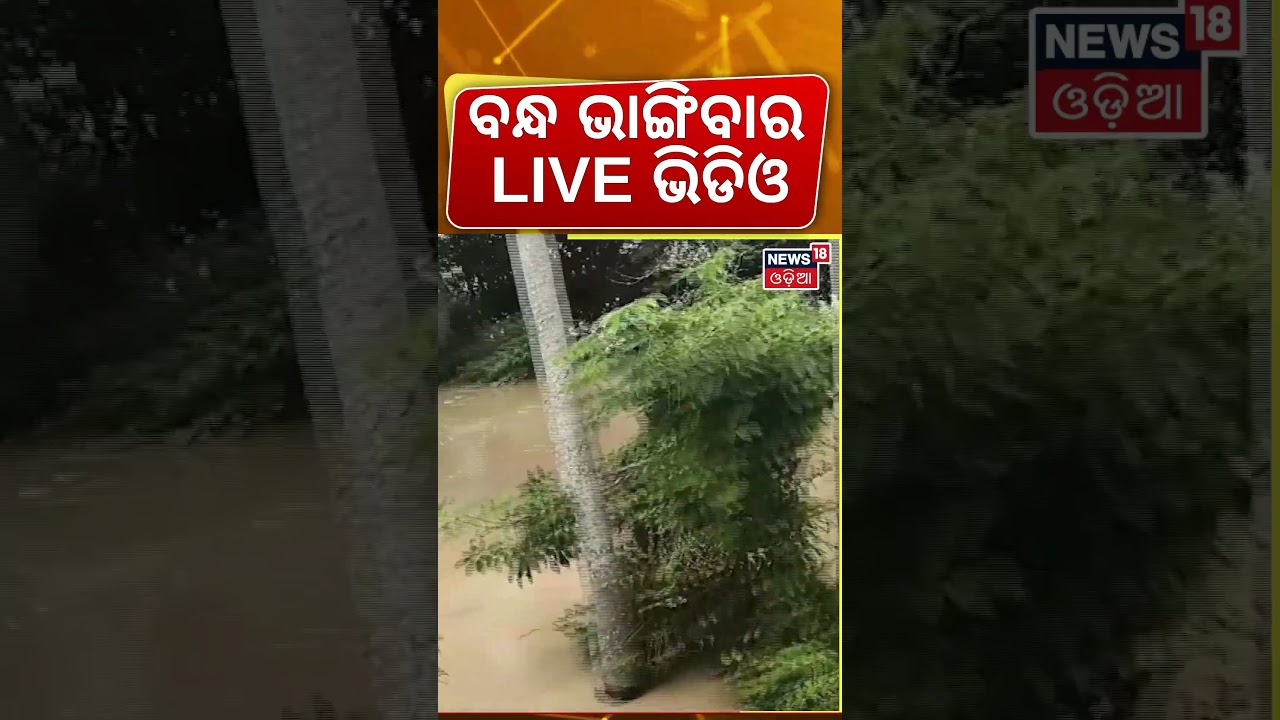 ବନ୍ଧ ଭାଙ୍ଗିବାର LIVE ଭିଡିଓ | River Dam Collapses At Jajpur | Odisha Flood News | Odia News