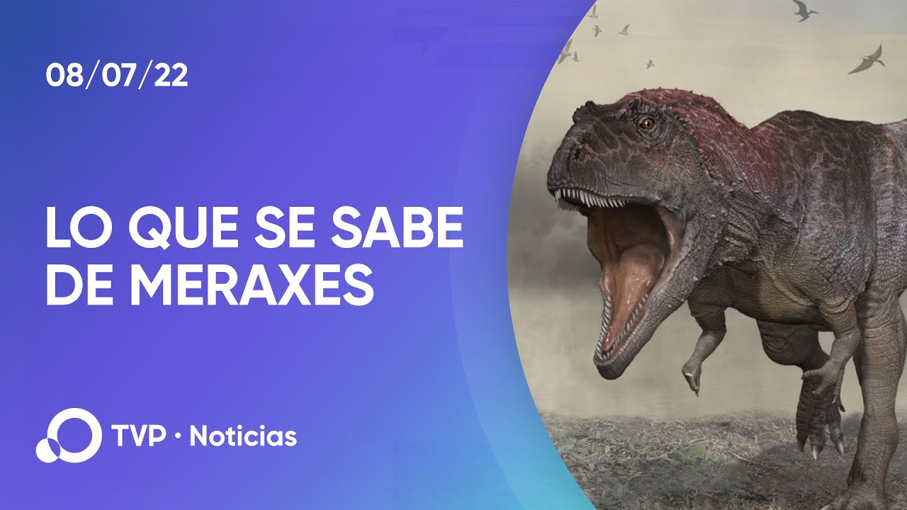 El dinosaurio más grande hallado en Argentina