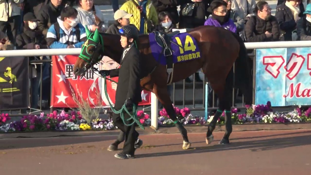 【雲取賞2026】全頭パドック 現地映像 リアライズグリント