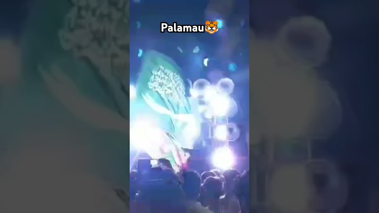 palamau🐯