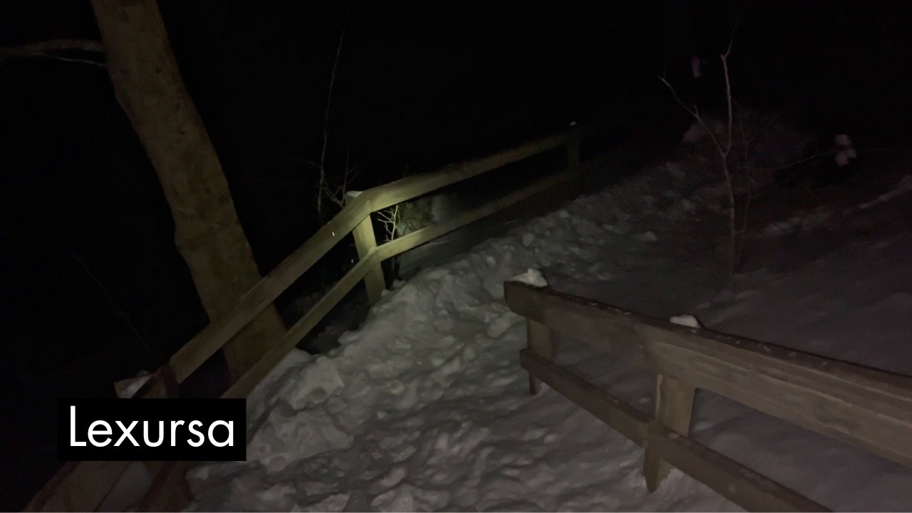 Walking Down Into Hell Hollow at Night