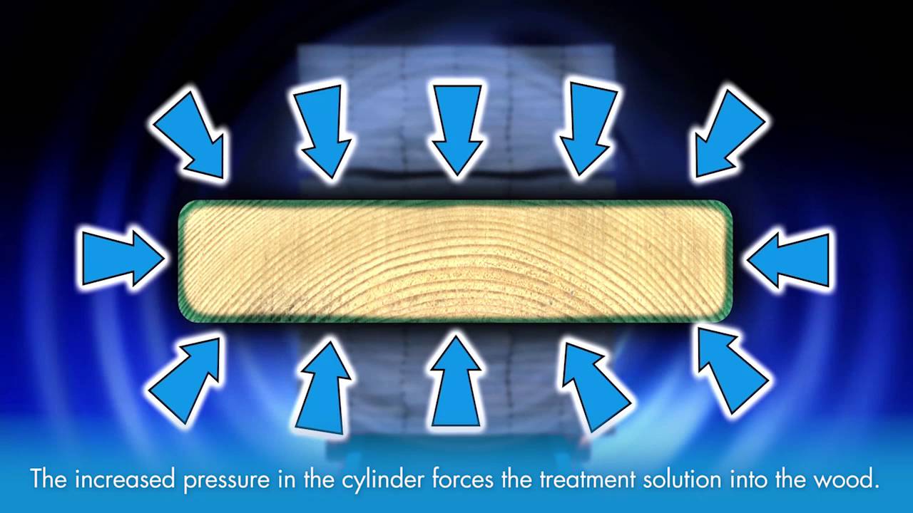 Pressure Treated Wood: The Complete Guide to the Pressure Treatment Process for Wood