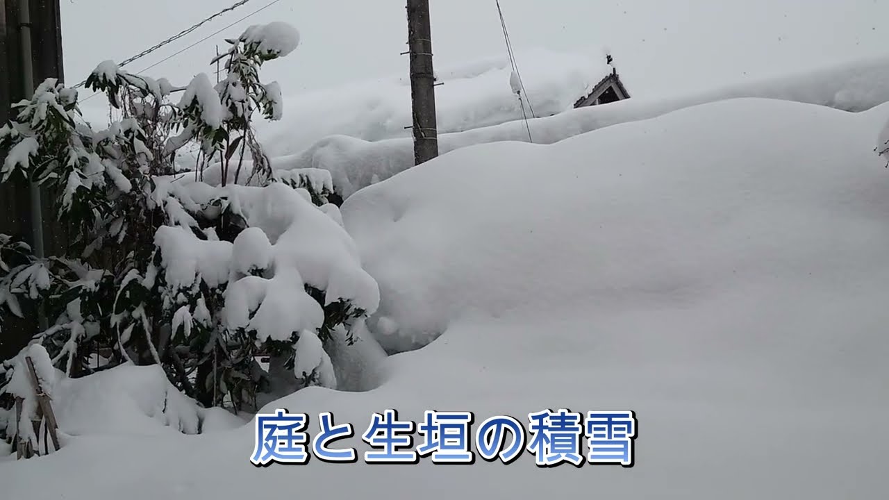 2026年１月29日(木 )自然融雪屋根