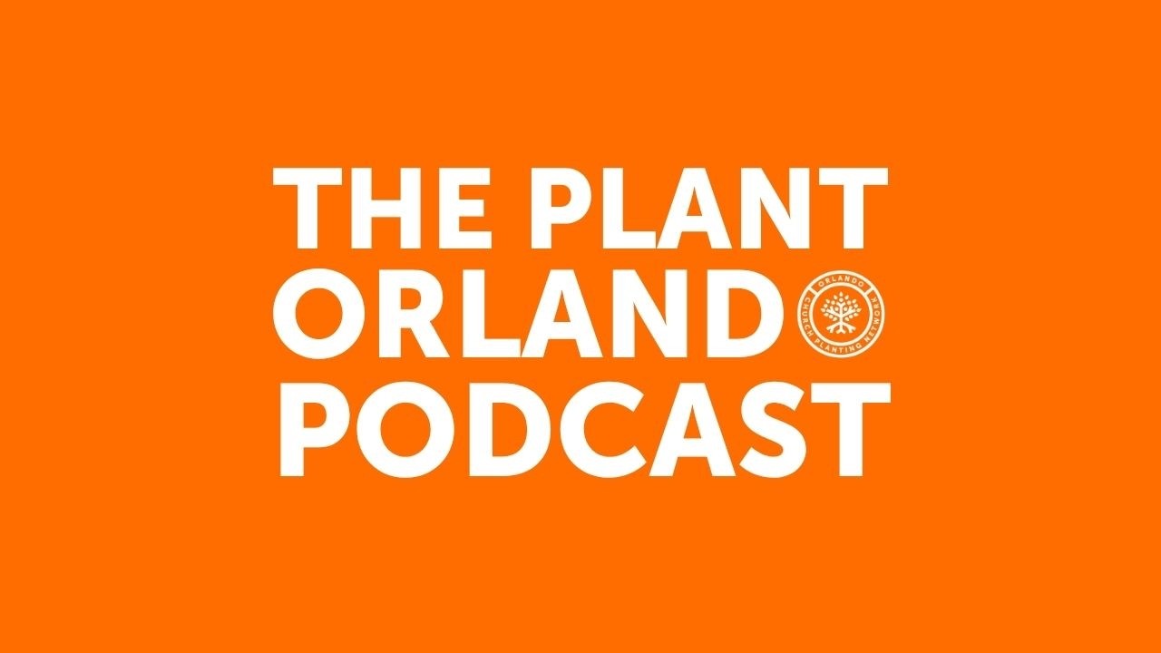 What Is OCPN and why did we start it?