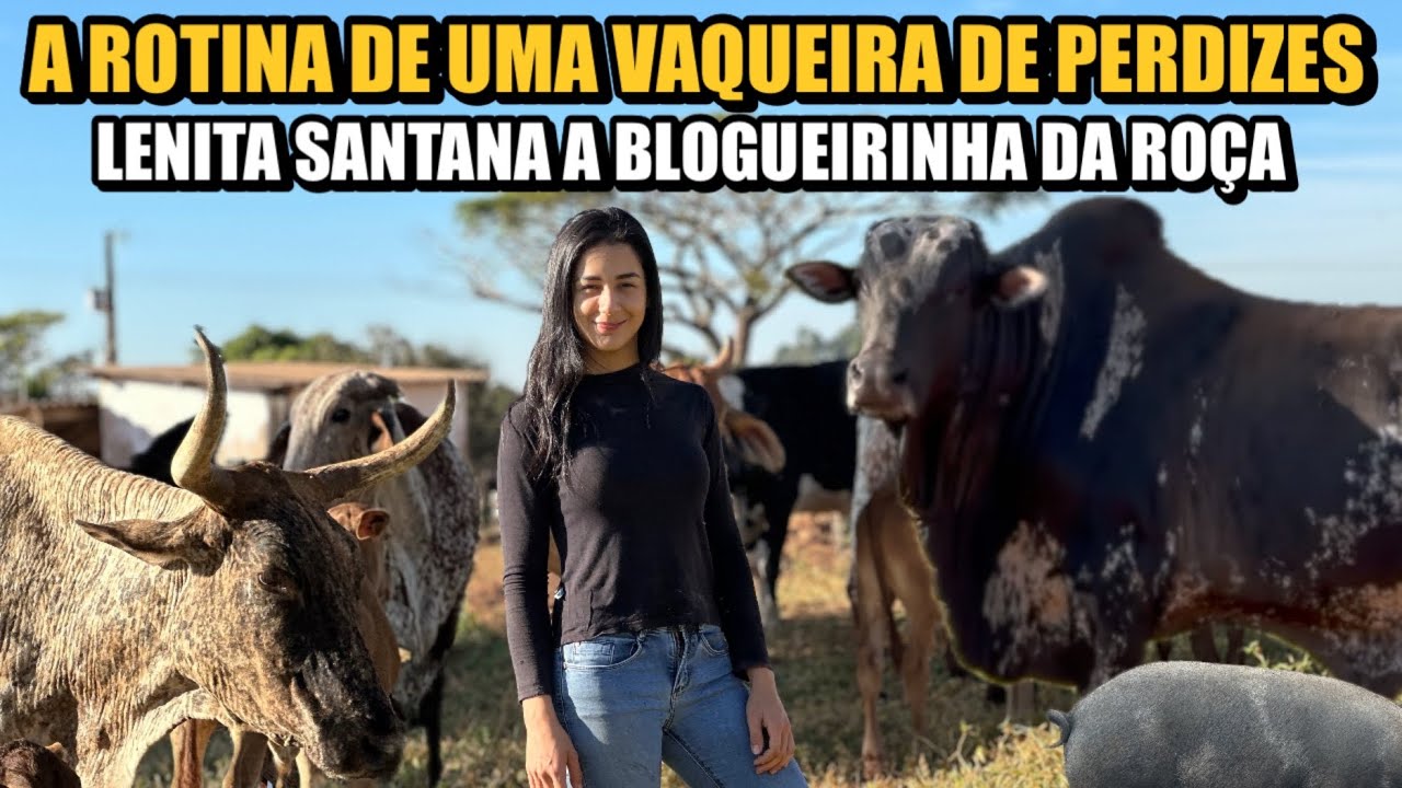 A LINDA ROTINA DO CAMPO NA RO&Ccedil;A EM MG